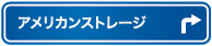 アメリカンストレージ